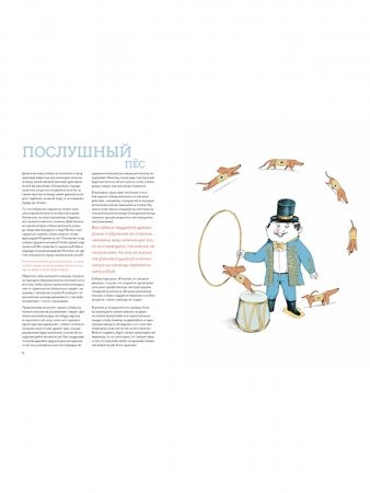 Собаки & Кошки: что знает о них наука